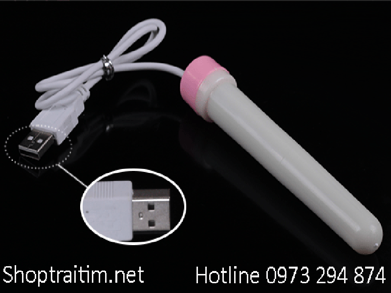 Phân phối Que nhiệt cao cấp